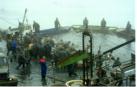 Fishing (4)